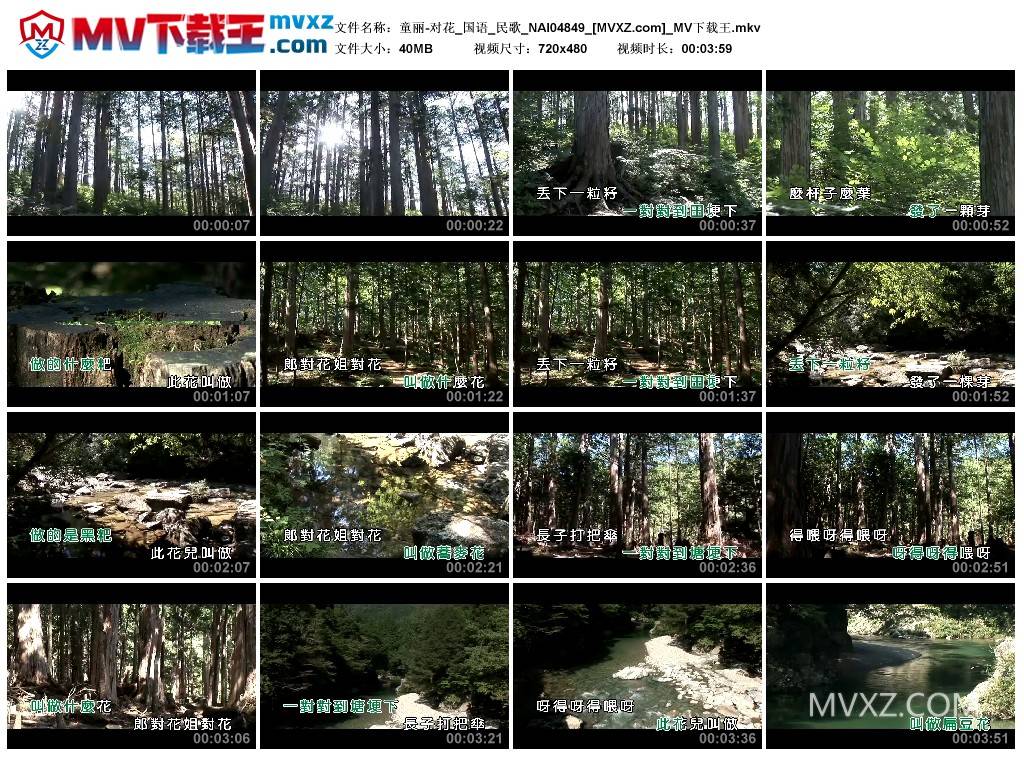童丽-对花_国语_民歌_NAI04849